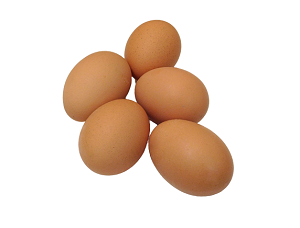 Brown Eggs